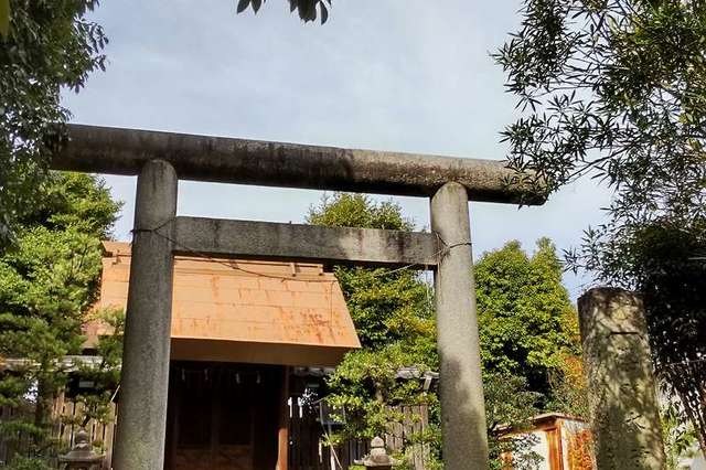 写真