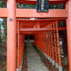 福寿稲荷神社