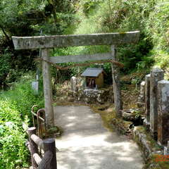 天岩戸神社(投稿日:2025年10月19日) 写真