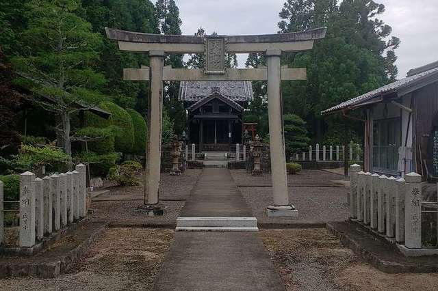 写真