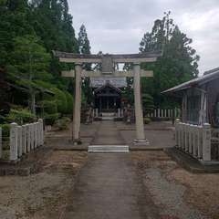写真