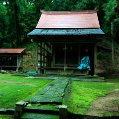 写真