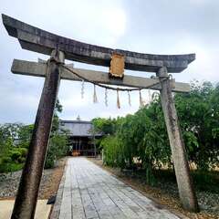 写真