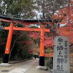 宇治上神社(投稿日:2025年12月15日) 写真