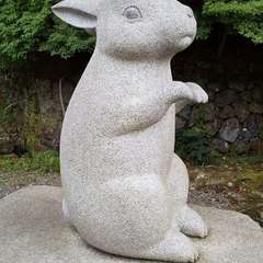 投稿日:2023年6月24日 写真