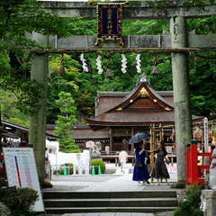 投稿日:2024年9月13日 写真