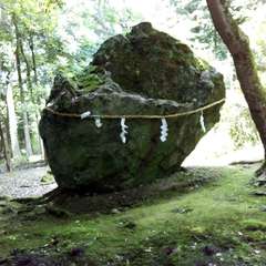 投稿日:2023年6月24日 写真