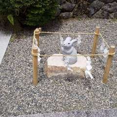 投稿日:2023年6月24日 写真