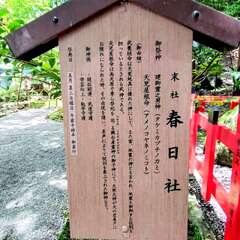 投稿日:2025年6月17日 写真