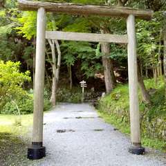 投稿日:2023年6月24日 写真