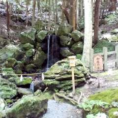 投稿日:2023年6月24日 写真