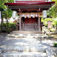 投稿日:2025年6月17日 写真