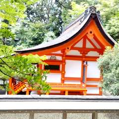 投稿日:2023年6月24日 写真