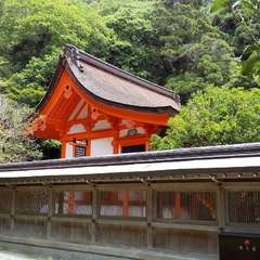 投稿日:2023年6月24日 写真