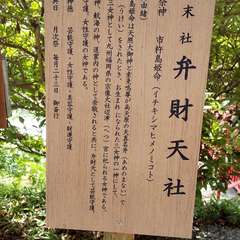 投稿日:2023年6月24日 写真