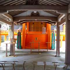 投稿日:2023年6月24日 写真