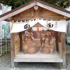 投稿日:2023年6月24日 写真