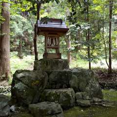 投稿日:2023年6月24日 写真