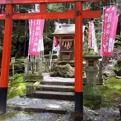 投稿日:2023年6月24日 写真