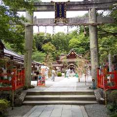 投稿日:2023年6月24日 写真