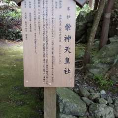 投稿日:2023年6月24日 写真