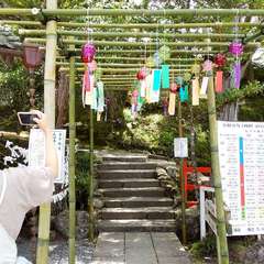 投稿日:2023年6月24日 写真