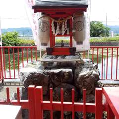 投稿日:2023年6月24日 写真