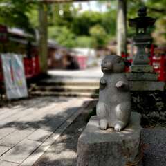 投稿日:2025年6月17日 写真