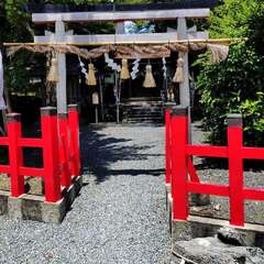 投稿日:2025年6月17日 写真