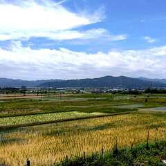 投稿日:2025年6月17日 写真