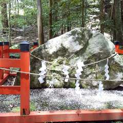投稿日:2023年6月24日 写真