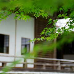 投稿日:2024年9月13日 写真