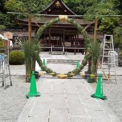 投稿日:2023年6月24日 写真