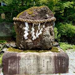 投稿日:2025年6月17日 写真