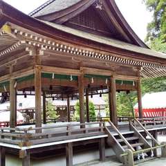 投稿日:2023年6月24日 写真