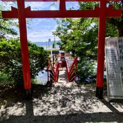 投稿日:2025年6月17日 写真