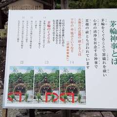 投稿日:2023年6月24日 写真