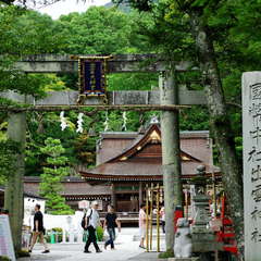 投稿日:2024年9月13日 写真