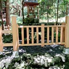 投稿日:2025年6月17日 写真