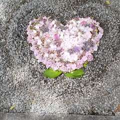 投稿日:2023年6月24日 写真