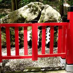 投稿日:2025年6月17日 写真