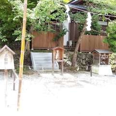 投稿日:2023年6月24日 写真