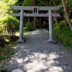 投稿日:2025年6月17日 写真