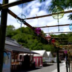 投稿日:2025年6月17日 写真