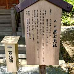 投稿日:2025年6月17日 写真