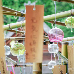 投稿日:2024年9月13日 写真