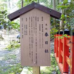 投稿日:2023年6月24日 写真