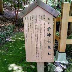 投稿日:2025年6月17日 写真