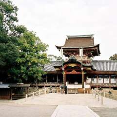 石清水八幡宮(投稿日:2025年10月15日) 写真