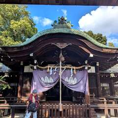 離宮八幡宮(投稿日:2025年12月11日) 写真